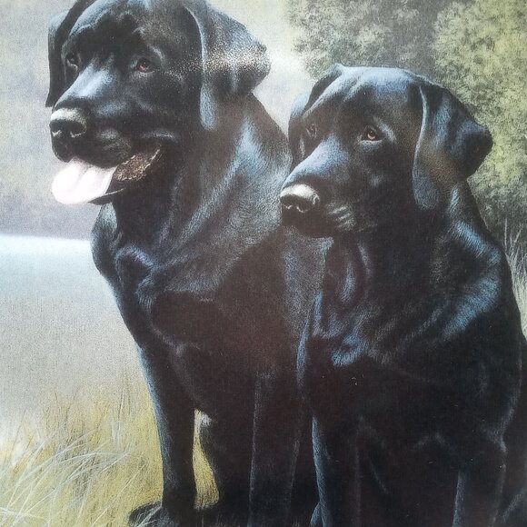 Franklin Mint Sporting Companions Plate By Nigel Hemming Black Labrador Retriers - Picture 3 of 8